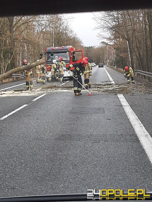 Kilkaset interwencji związanych z silnym wiatrem. Jest niebezpiecznie