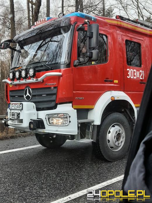Kilkaset interwencji związanych z silnym wiatrem. Jest niebezpiecznie