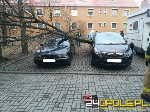 Kilkaset interwencji związanych z silnym wiatrem. Jest niebezpiecznie