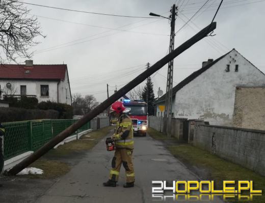 Kilkaset interwencji związanych z silnym wiatrem. Jest niebezpiecznie