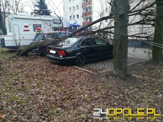 Kilkaset interwencji związanych z silnym wiatrem. Jest niebezpiecznie