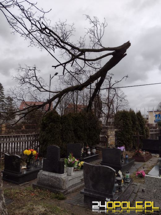 Kilkaset interwencji związanych z silnym wiatrem. Jest niebezpiecznie