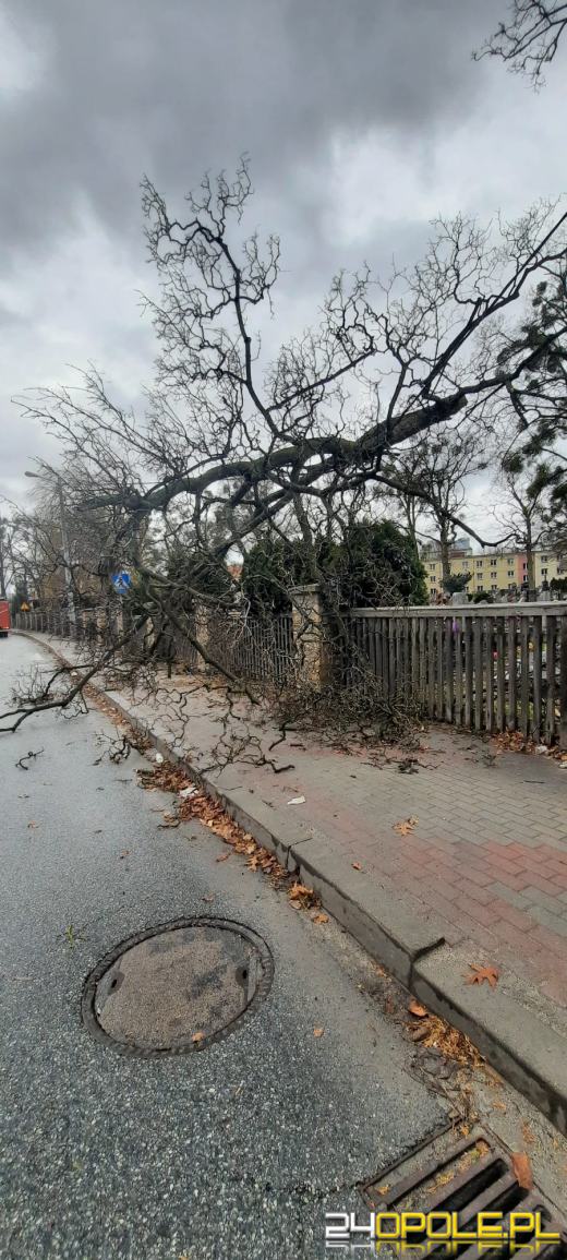 Kilkaset interwencji związanych z silnym wiatrem. Jest niebezpiecznie