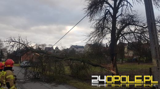 Strażacy podsumowali działania związane z silnym wiatrem na Opolszczyźnie