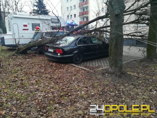 Strażacy podsumowali działania związane z silnym wiatrem na Opolszczyźnie