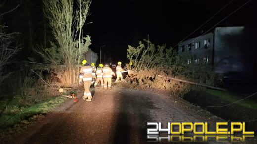 Strażacy podsumowali działania związane z silnym wiatrem na Opolszczyźnie