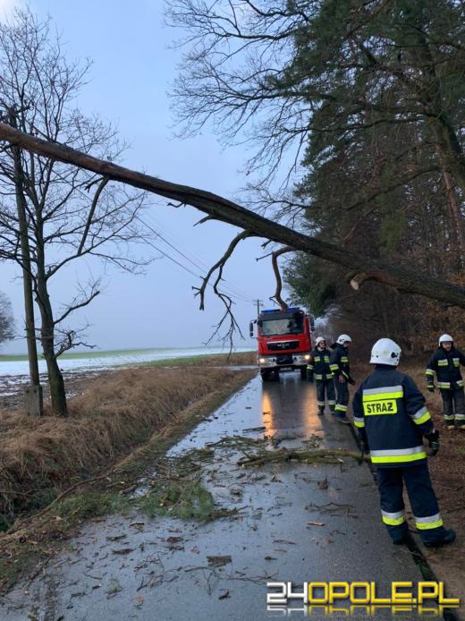 Strażacy podsumowali działania związane z silnym wiatrem na Opolszczyźnie