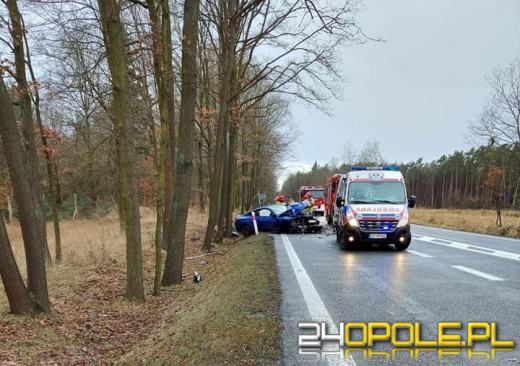 Wypadek w Dąbrowie. Kierowca zjechał z drogi i uderzył w drzewo
