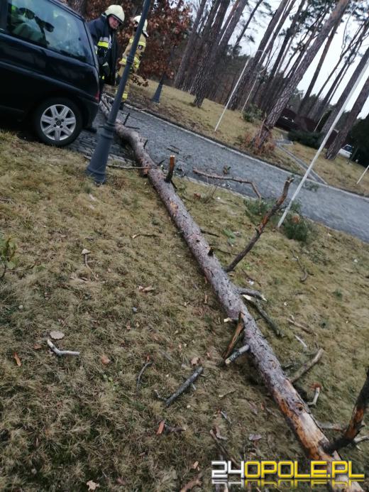 Strażacy podsumowali działania związane z silnym wiatrem na Opolszczyźnie