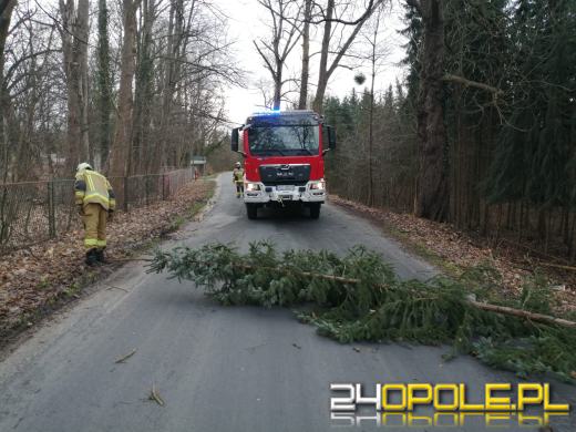Strażacy podsumowali działania związane z silnym wiatrem na Opolszczyźnie