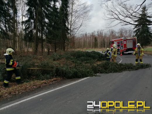 Strażacy podsumowali działania związane z silnym wiatrem na Opolszczyźnie