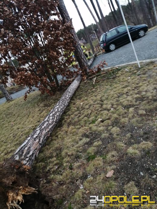 Strażacy podsumowali działania związane z silnym wiatrem na Opolszczyźnie