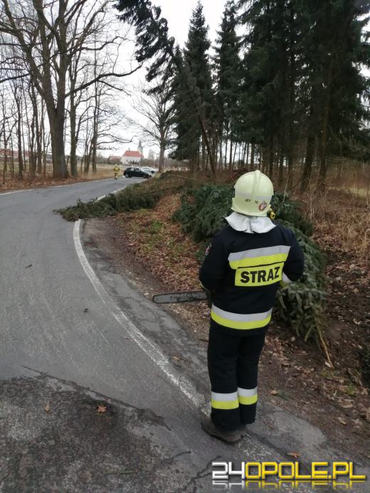 Strażacy podsumowali działania związane z silnym wiatrem na Opolszczyźnie