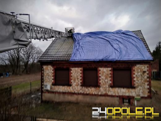 Strażacy podsumowali działania związane z silnym wiatrem na Opolszczyźnie