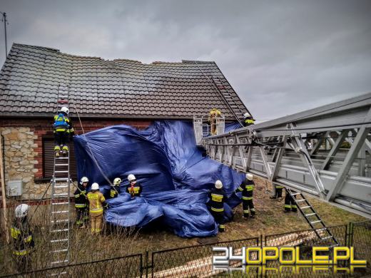 Strażacy podsumowali działania związane z silnym wiatrem na Opolszczyźnie