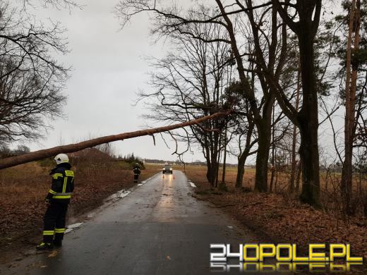 Strażacy podsumowali działania związane z silnym wiatrem na Opolszczyźnie