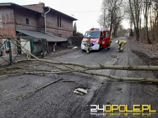 Strażacy podsumowali działania związane z silnym wiatrem na Opolszczyźnie