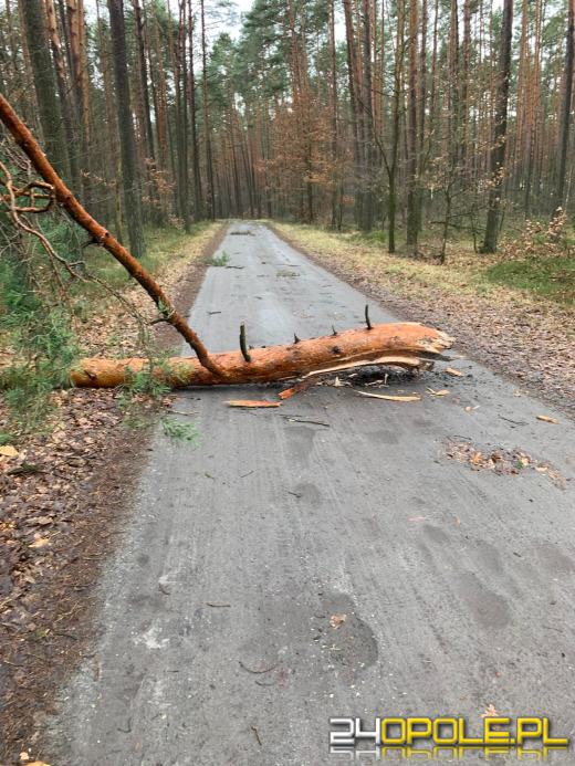 Strażacy podsumowali działania związane z silnym wiatrem na Opolszczyźnie