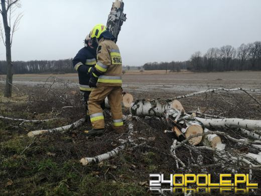 Strażacy podsumowali działania związane z silnym wiatrem na Opolszczyźnie