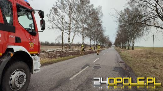 Strażacy podsumowali działania związane z silnym wiatrem na Opolszczyźnie