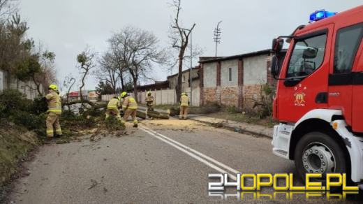 Strażacy podsumowali działania związane z silnym wiatrem na Opolszczyźnie