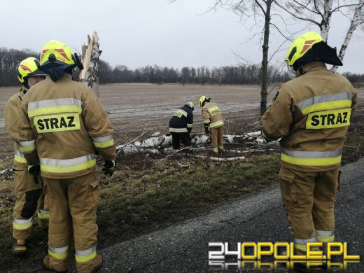 Strażacy podsumowali działania związane z silnym wiatrem na Opolszczyźnie