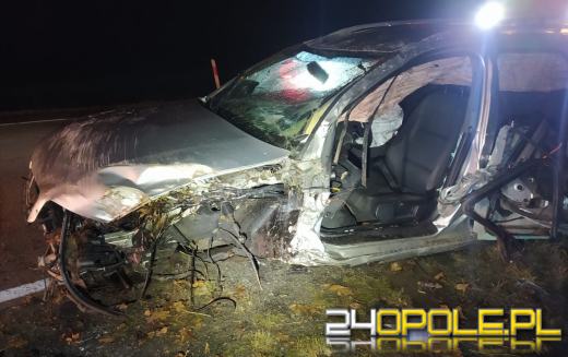 Pijany 73-latek wsiadł za kierownicę. Skończył podróż w rowie