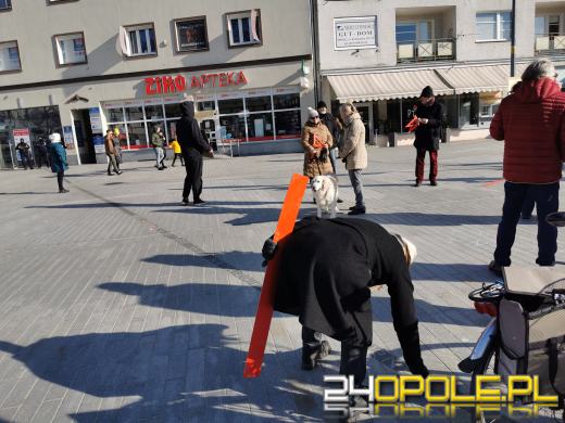 Opolanie protestowali przeciwko Lex Czarnek