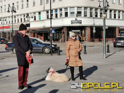 Opolanie protestowali przeciwko Lex Czarnek