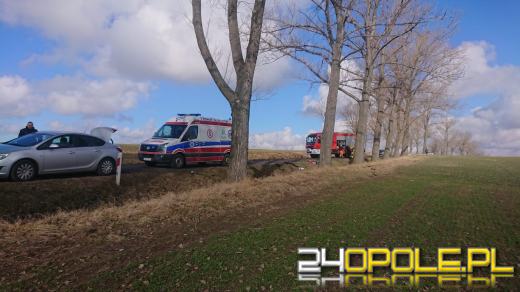 Audi dachowało w powiecie głubczyckim. Dwie osoby w szpitalu