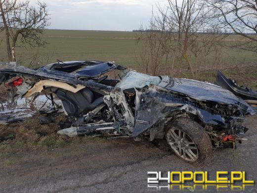 Pijany kierowca uderzył w drzewo. Auto rozpadło się na dwie części 