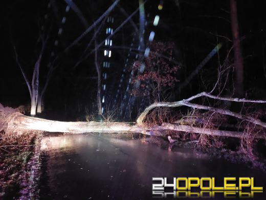 Ponad 100 interwencji związanych z załamaniem pogody w regionie