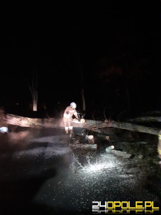 Ponad 100 interwencji związanych z załamaniem pogody w regionie