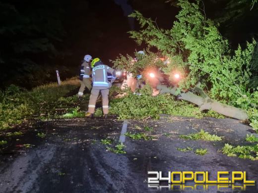 Ponad 100 interwencji związanych z załamaniem pogody w regionie