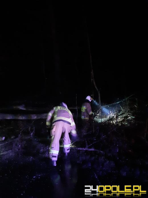 Ponad 100 interwencji związanych z załamaniem pogody w regionie