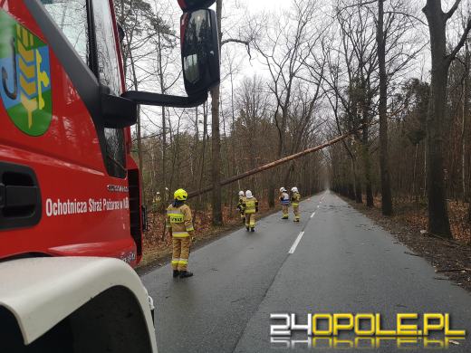 Ponad 100 interwencji związanych z załamaniem pogody w regionie