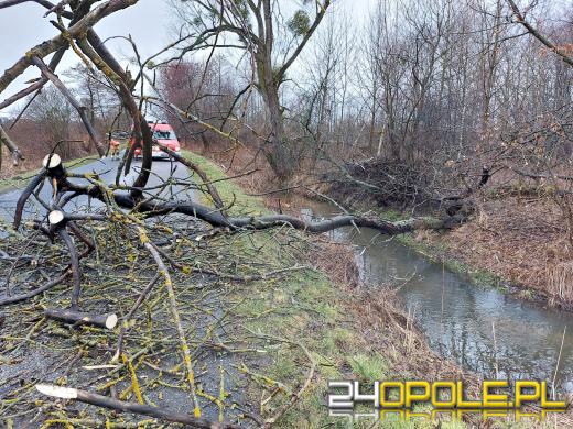 Ponad 100 interwencji związanych z załamaniem pogody w regionie