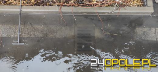 Ponad 100 interwencji związanych z załamaniem pogody w regionie