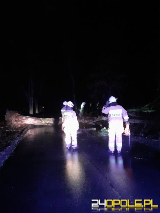 Ponad 100 interwencji związanych z załamaniem pogody w regionie