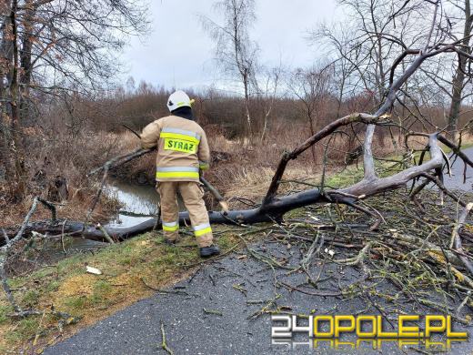 Ponad 100 interwencji związanych z załamaniem pogody w regionie
