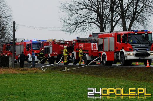 Ponad 800 krzaków konopi ujawniono podczas pożaru poddasza w Bierdzanach