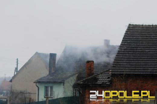 Ponad 800 krzaków konopi ujawniono podczas pożaru poddasza w Bierdzanach