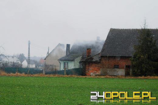 Ponad 800 krzaków konopi ujawniono podczas pożaru poddasza w Bierdzanach