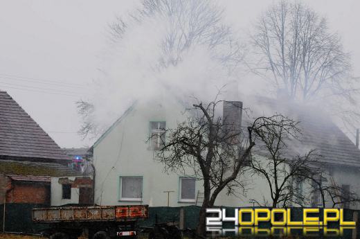 Ponad 800 krzaków konopi ujawniono podczas pożaru poddasza w Bierdzanach