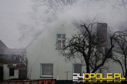 Ponad 800 krzaków konopi ujawniono podczas pożaru poddasza w Bierdzanach