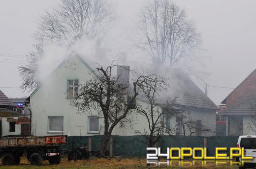 Ponad 800 krzaków konopi ujawniono podczas pożaru poddasza w Bierdzanach