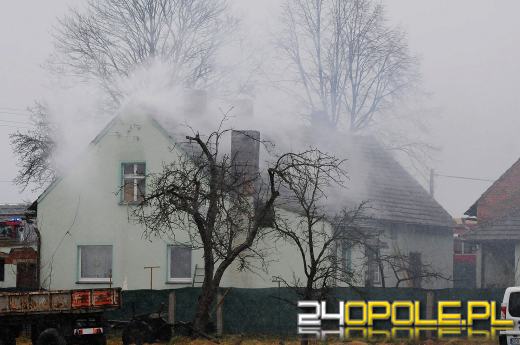 Ponad 800 krzaków konopi ujawniono podczas pożaru poddasza w Bierdzanach