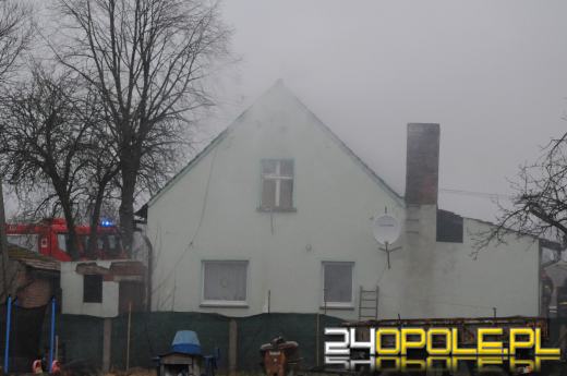 Ponad 800 krzaków konopi ujawniono podczas pożaru poddasza w Bierdzanach