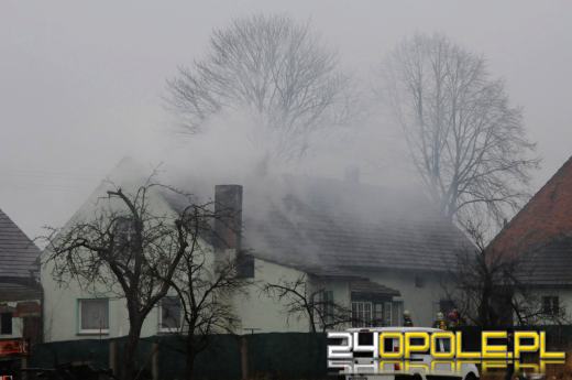 Ponad 800 krzaków konopi ujawniono podczas pożaru poddasza w Bierdzanach