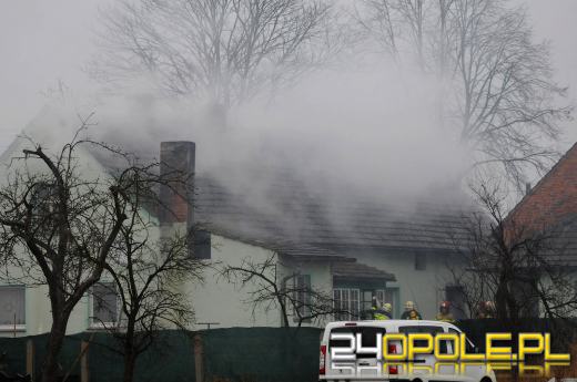 Ponad 800 krzaków konopi ujawniono podczas pożaru poddasza w Bierdzanach